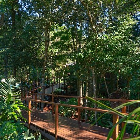 Selva De Laurel Hotel Puerto Iguazu Luaran gambar